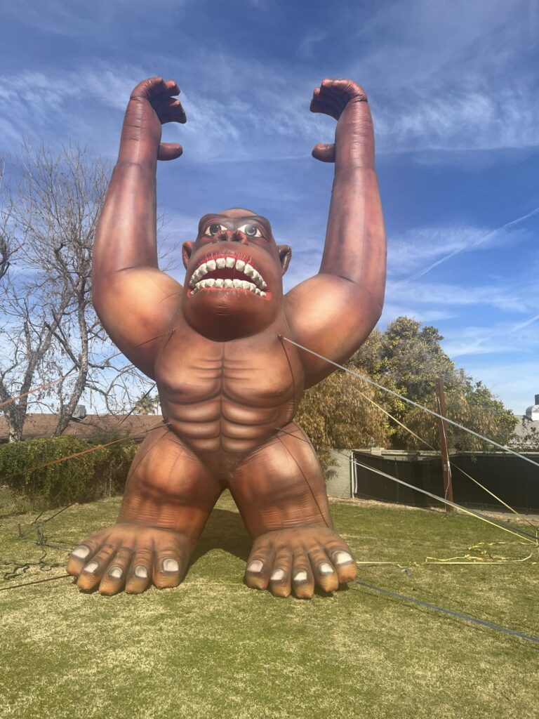 25ft red brown Kong 1 2025 scaled
